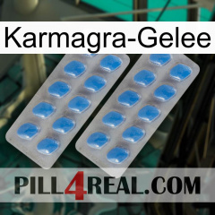 Karmagra Jelly 23
